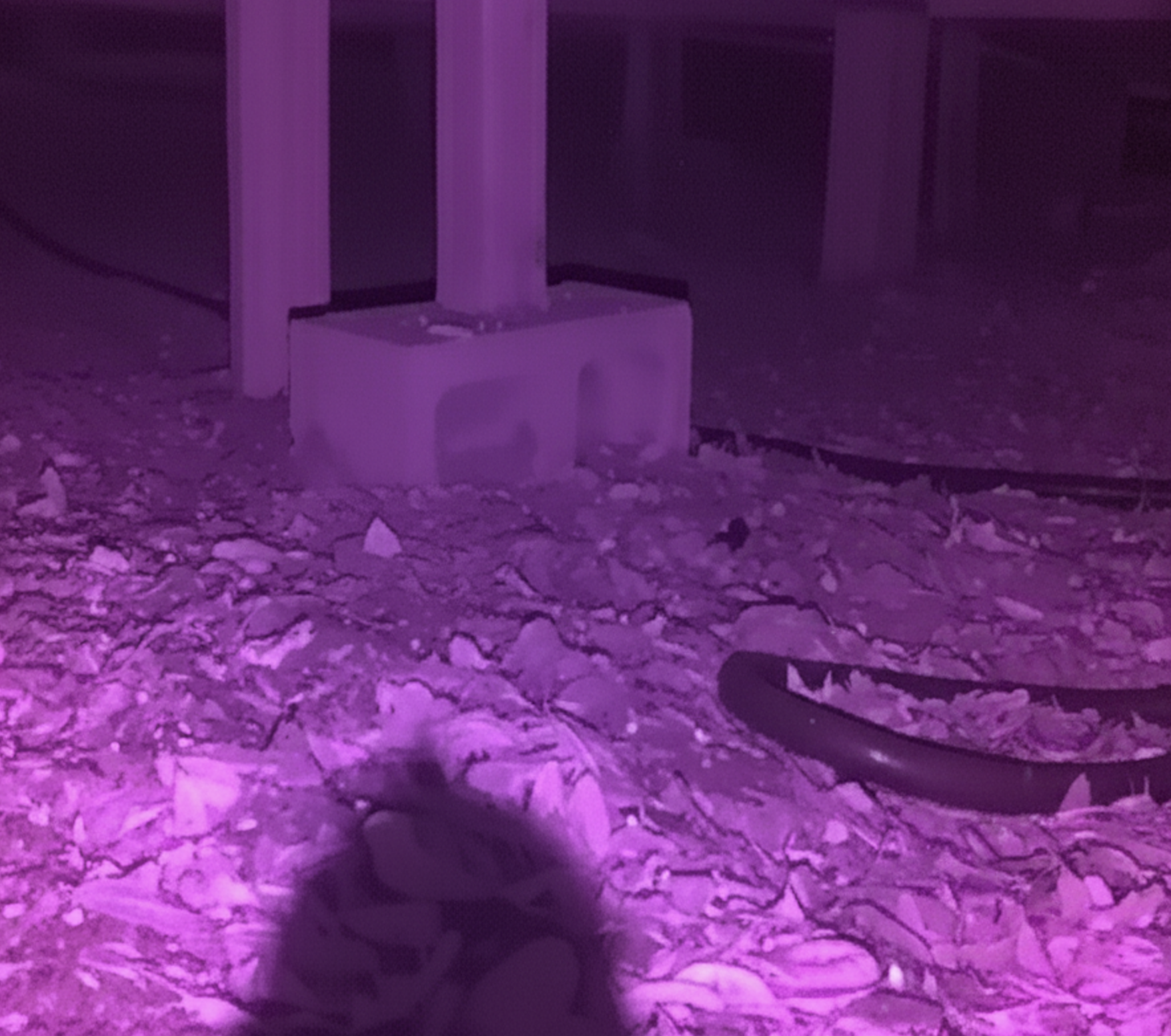 IR frame from the same sequence — cinder block, debris, rat in the foreground