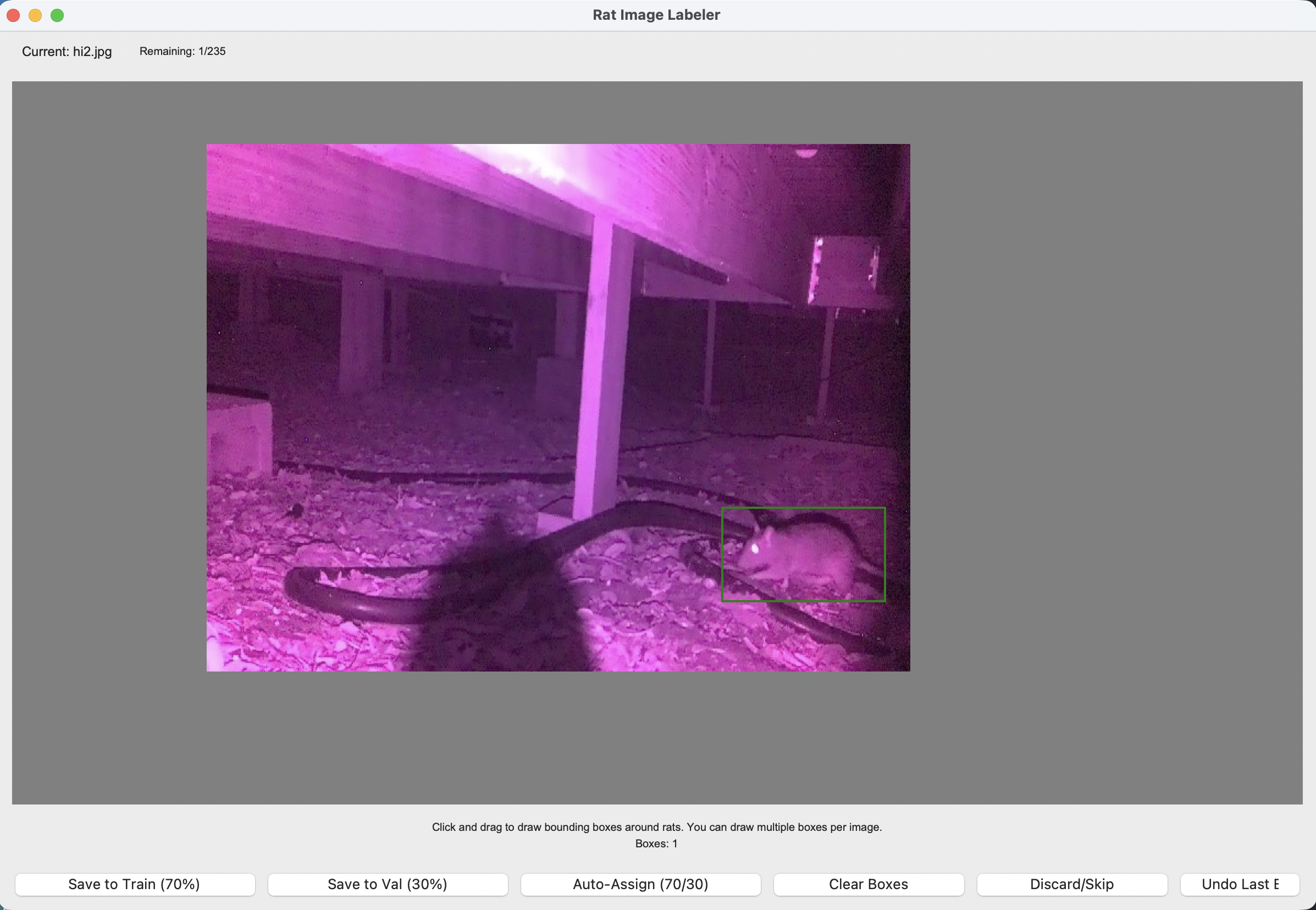 Rat Image Labeler — custom bounding-box tool